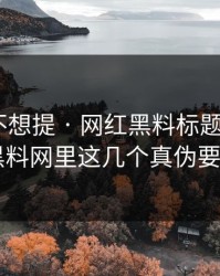 我原本不想提 · 网红黑料标题太会写 · 但黑料网里这几个真伪要先看