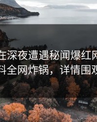 主持人在深夜遭遇秘闻爆红网络，黑料全网炸锅，详情围观