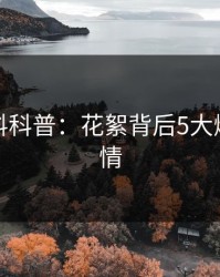 爆料黑料科普：花絮背后5大爆点的隐情