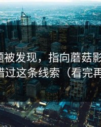 隐藏专题被发现，指向蘑菇影视片单｜别错过这条线索（看完再说）