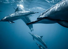 这不是玄学，是方法：把91大事件当工具用：观看节奏做好，体验直接翻倍（越早知道越好）