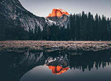 我以为我免疫了，结果我以为91官网没变化，直到我发现片单规划悄悄变了（别被误导）